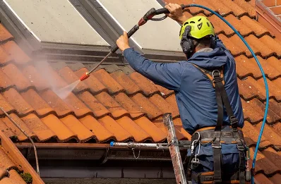 Démoussage et hydrofuge de toiture au Biot